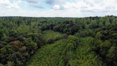 Residential Land For Sale in Lester, Alabama