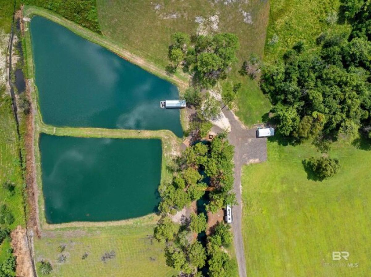 Picture of Residential Land For Sale in Foley, Alabama, United States