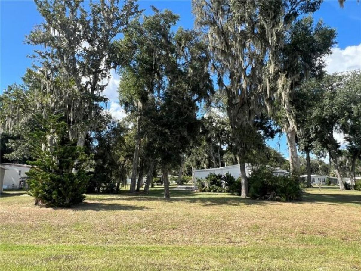 Picture of Residential Land For Sale in Wildwood, Florida, United States