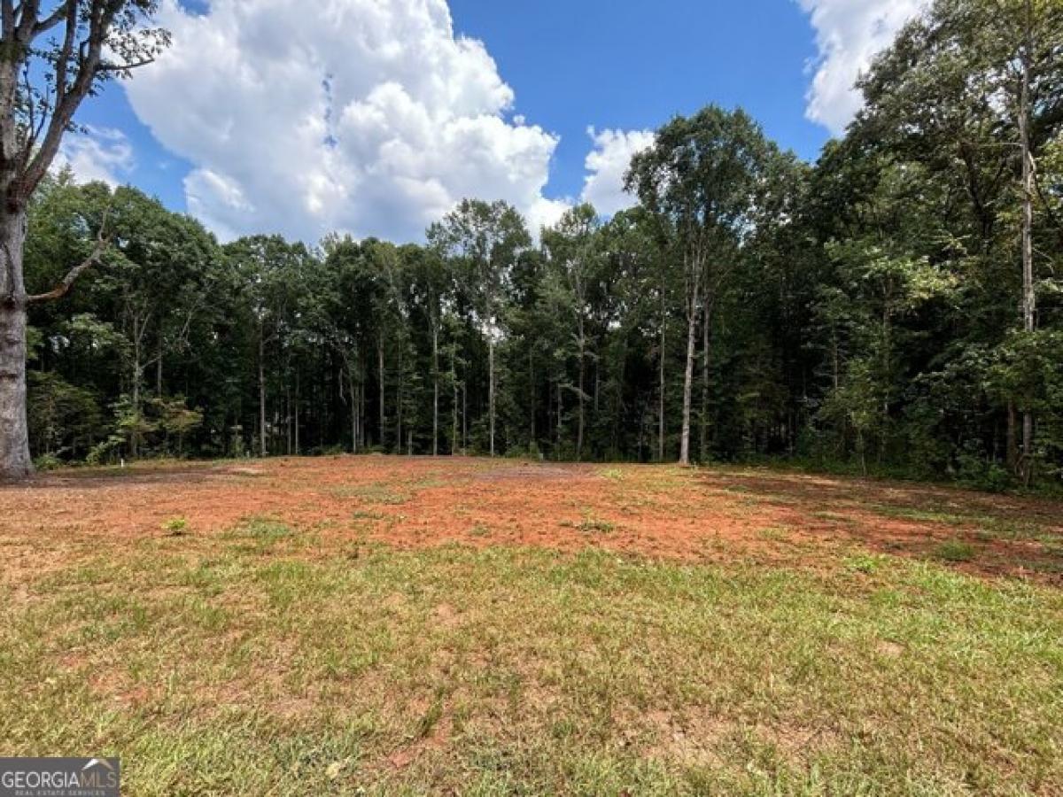 Picture of Residential Land For Sale in Thomaston, Georgia, United States