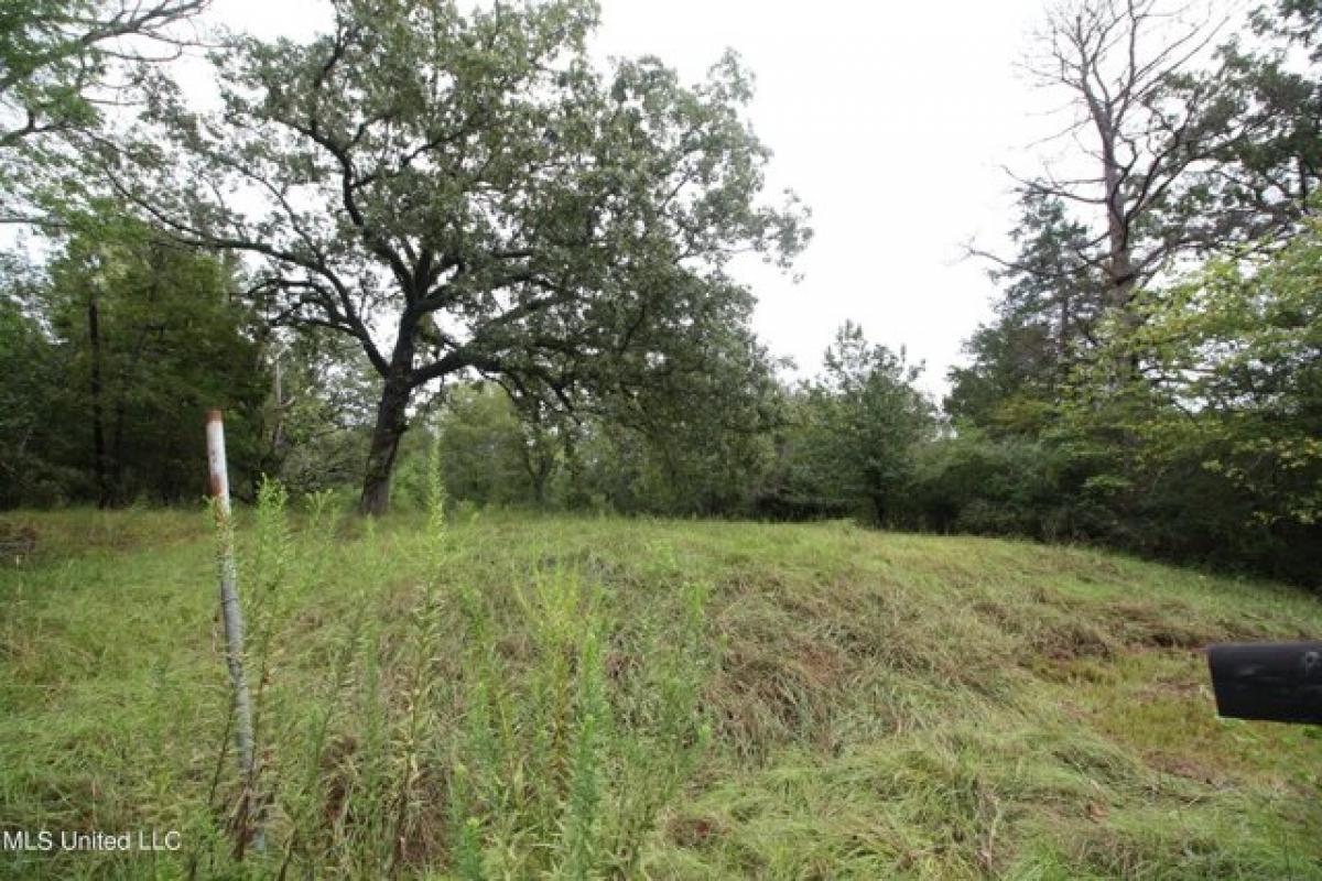 Picture of Residential Land For Sale in Clinton, Mississippi, United States