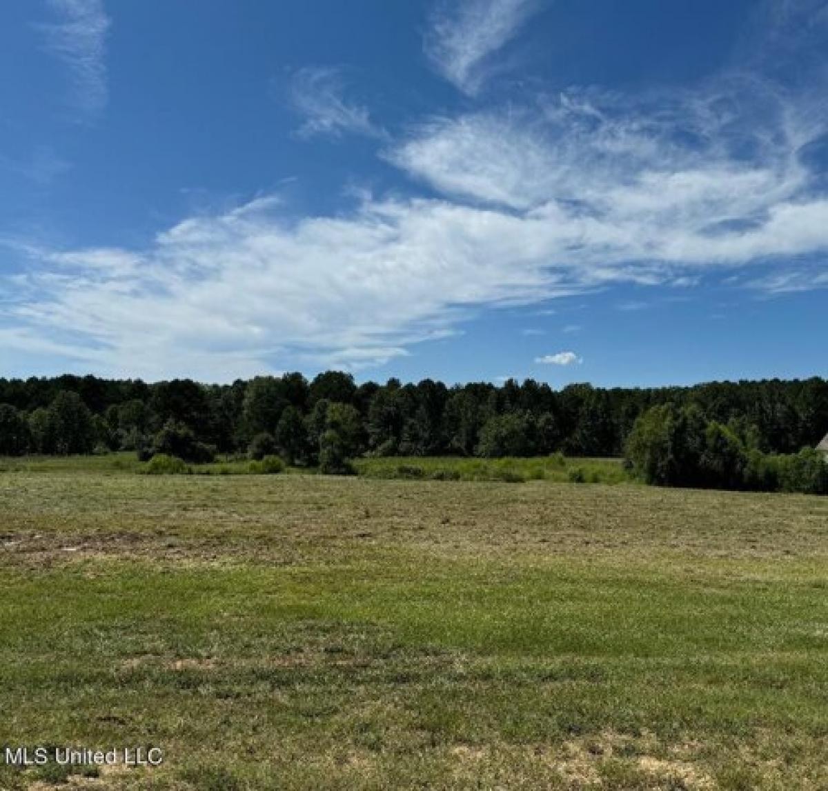 Picture of Residential Land For Sale in Brandon, Mississippi, United States