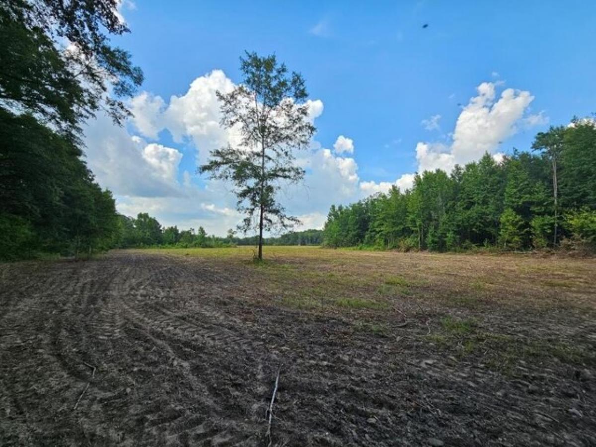 Picture of Residential Land For Sale in Slocomb, Alabama, United States