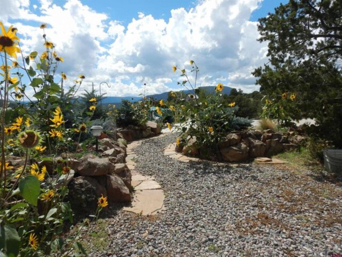 Picture of Home For Sale in South Fork, Colorado, United States