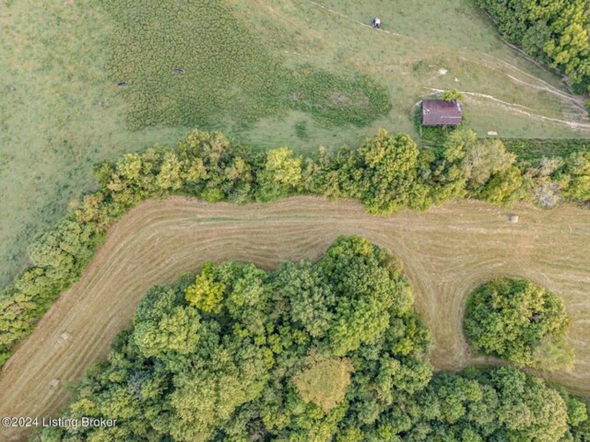 Picture of Residential Land For Sale in Mount Eden, Kentucky, United States