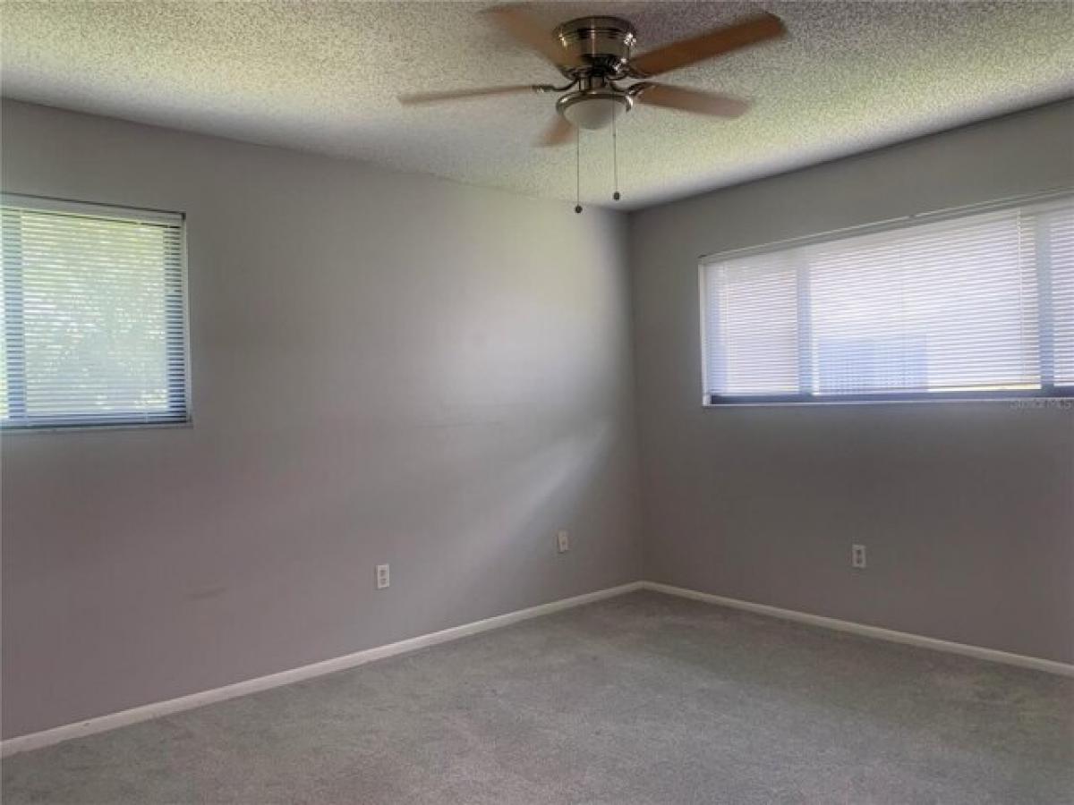 Picture of Home For Rent in Temple Terrace, Florida, United States