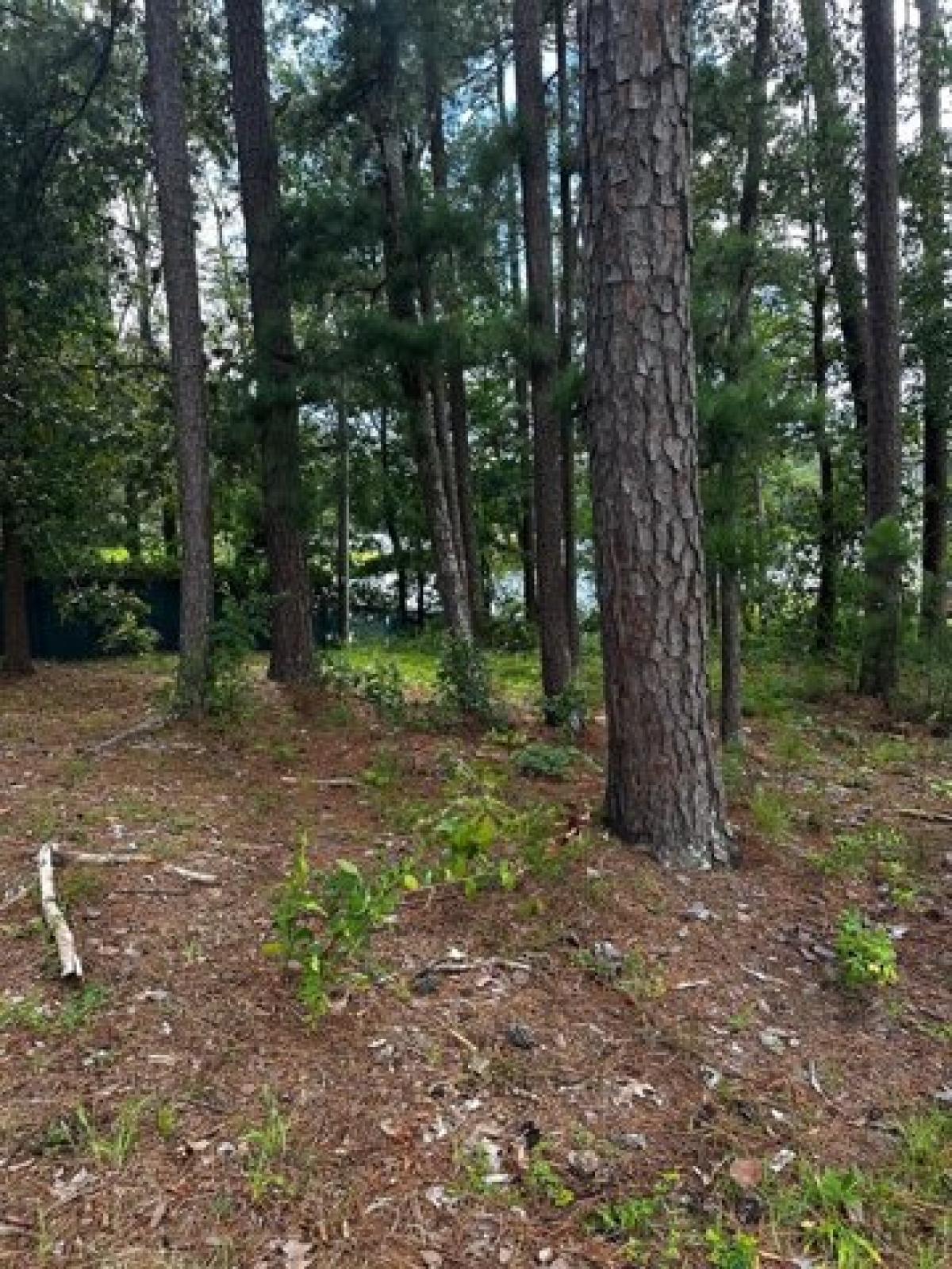 Picture of Residential Land For Sale in Ninety Six, South Carolina, United States