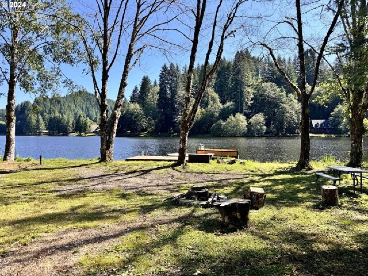 Picture of Residential Land For Sale in Birkenfeld, Oregon, United States