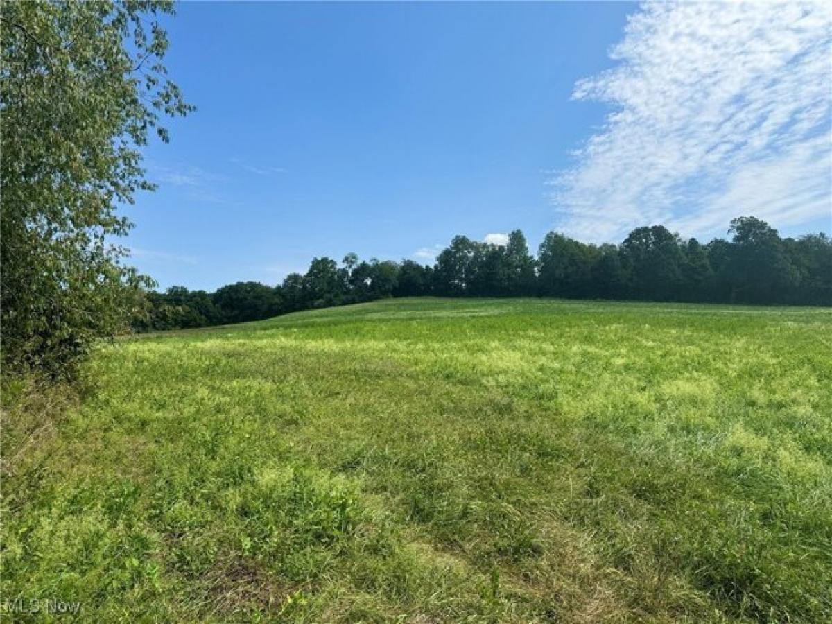 Picture of Residential Land For Sale in Dresden, Ohio, United States