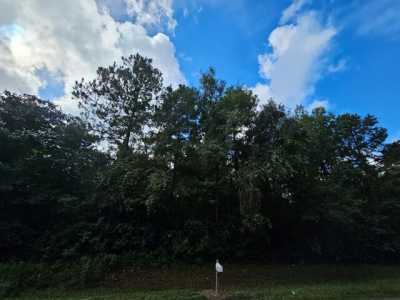 Residential Land For Sale in Carriere, Mississippi