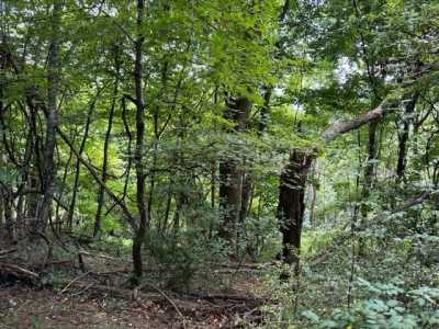 Residential Land For Sale in Independence, Virginia