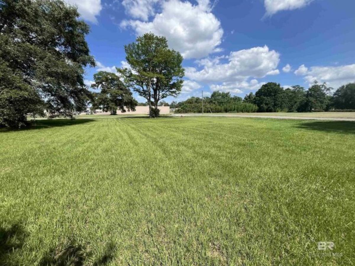 Picture of Residential Land For Sale in Atmore, Alabama, United States