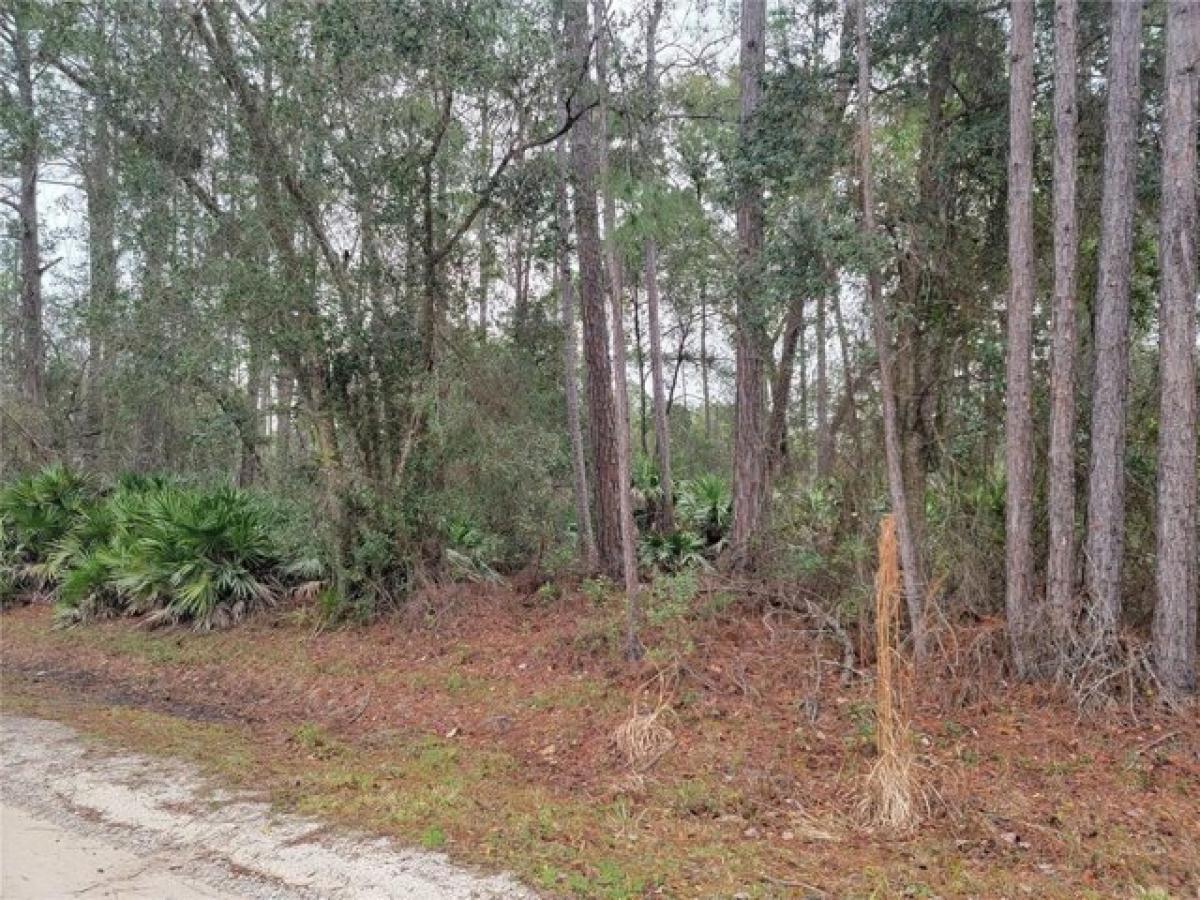 Picture of Residential Land For Sale in Deland, Florida, United States