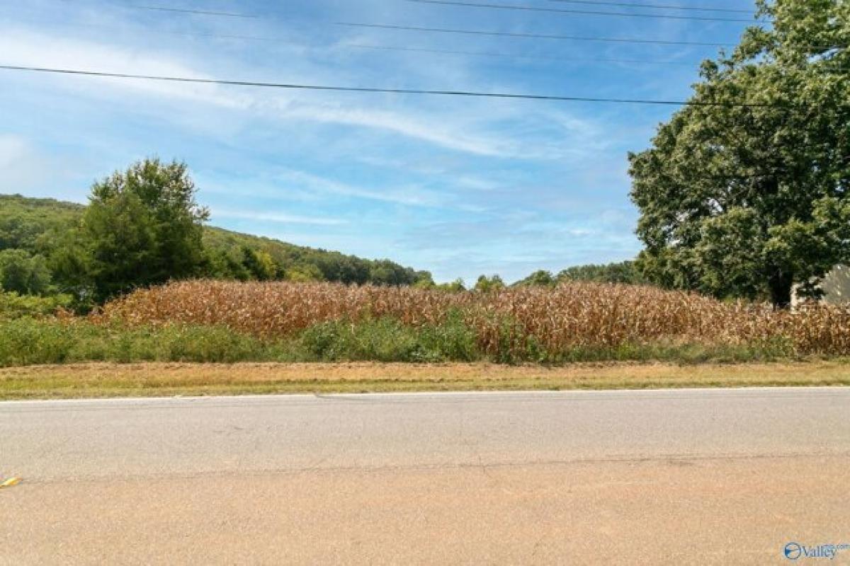 Picture of Residential Land For Sale in Gurley, Alabama, United States