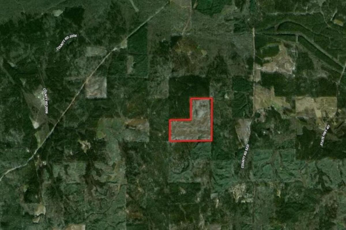 Picture of Residential Land For Sale in Ethel, Mississippi, United States