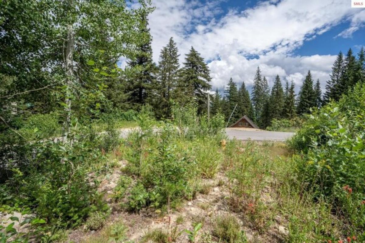 Picture of Residential Land For Sale in Sandpoint, Idaho, United States