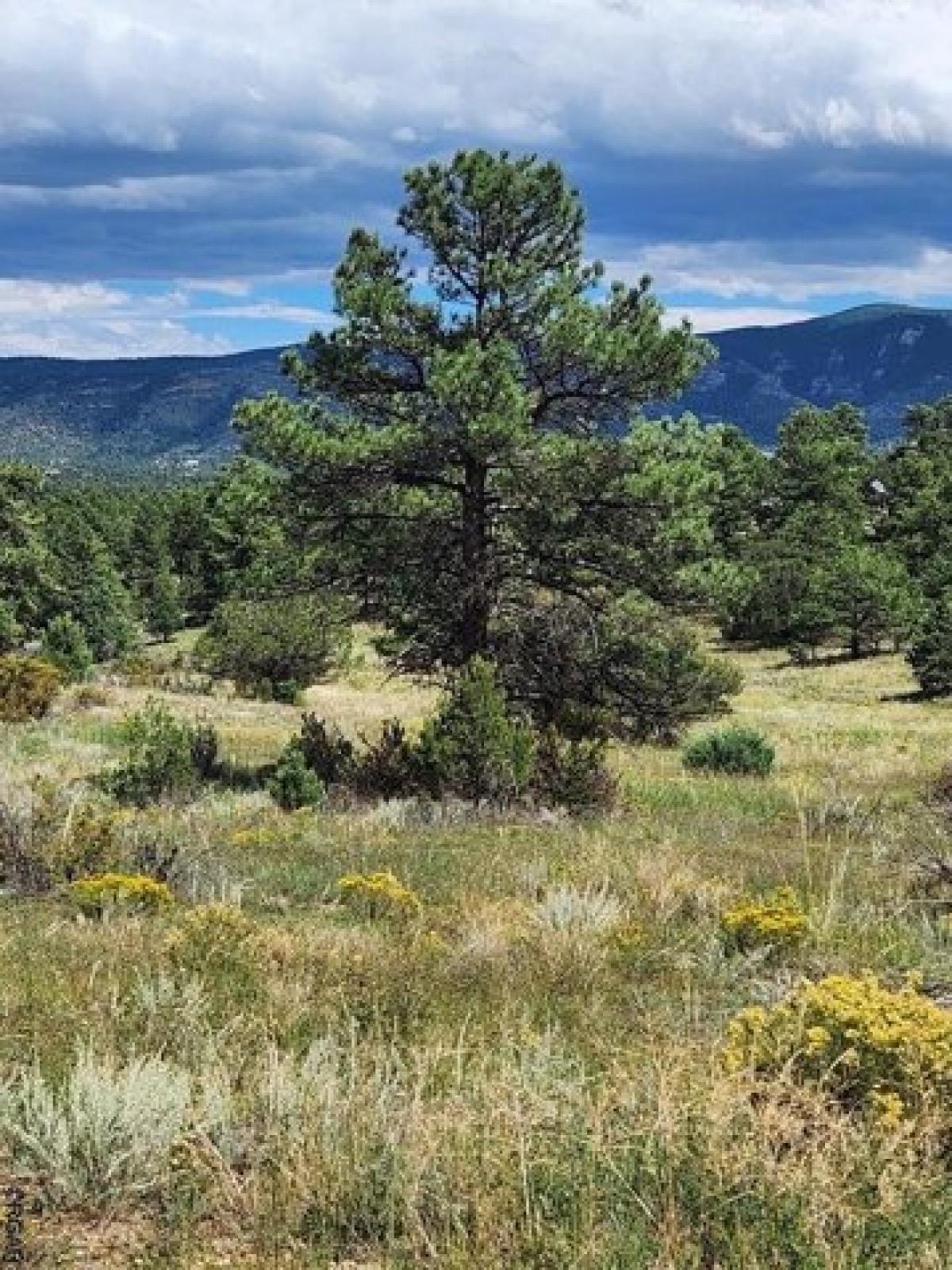 Picture of Residential Land For Sale in Westcliffe, Colorado, United States