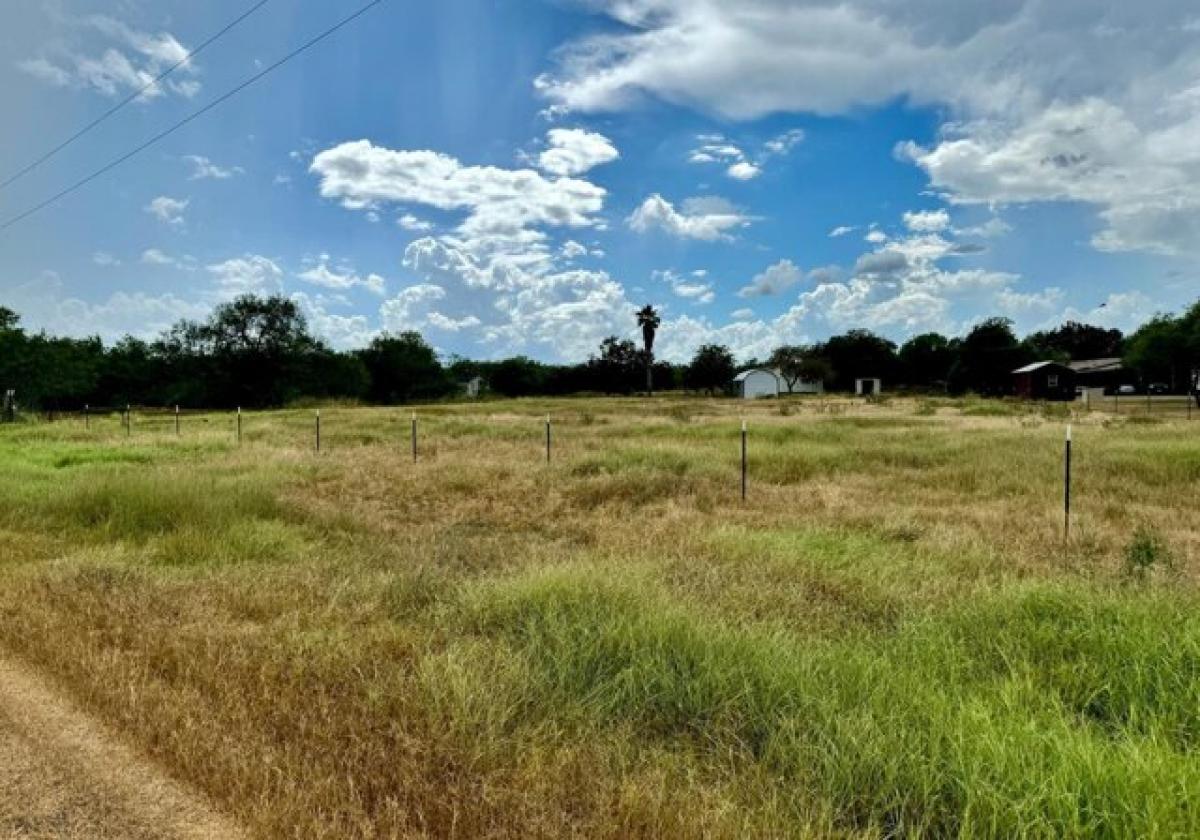 Picture of Residential Land For Sale in Alice, Texas, United States