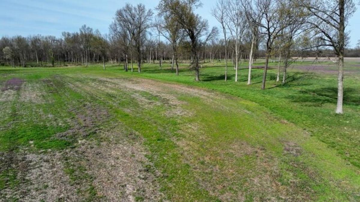 Picture of Residential Land For Sale in Green Ridge, Missouri, United States