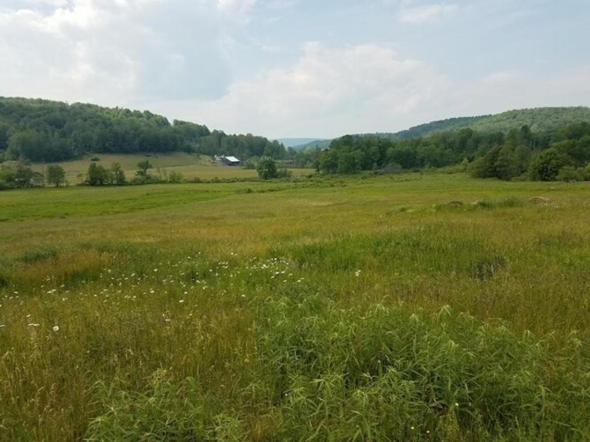 Picture of Residential Land For Sale in New Albany, Pennsylvania, United States