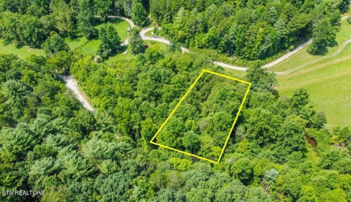 Picture of Residential Land For Sale in Tellico Plains, Tennessee, United States