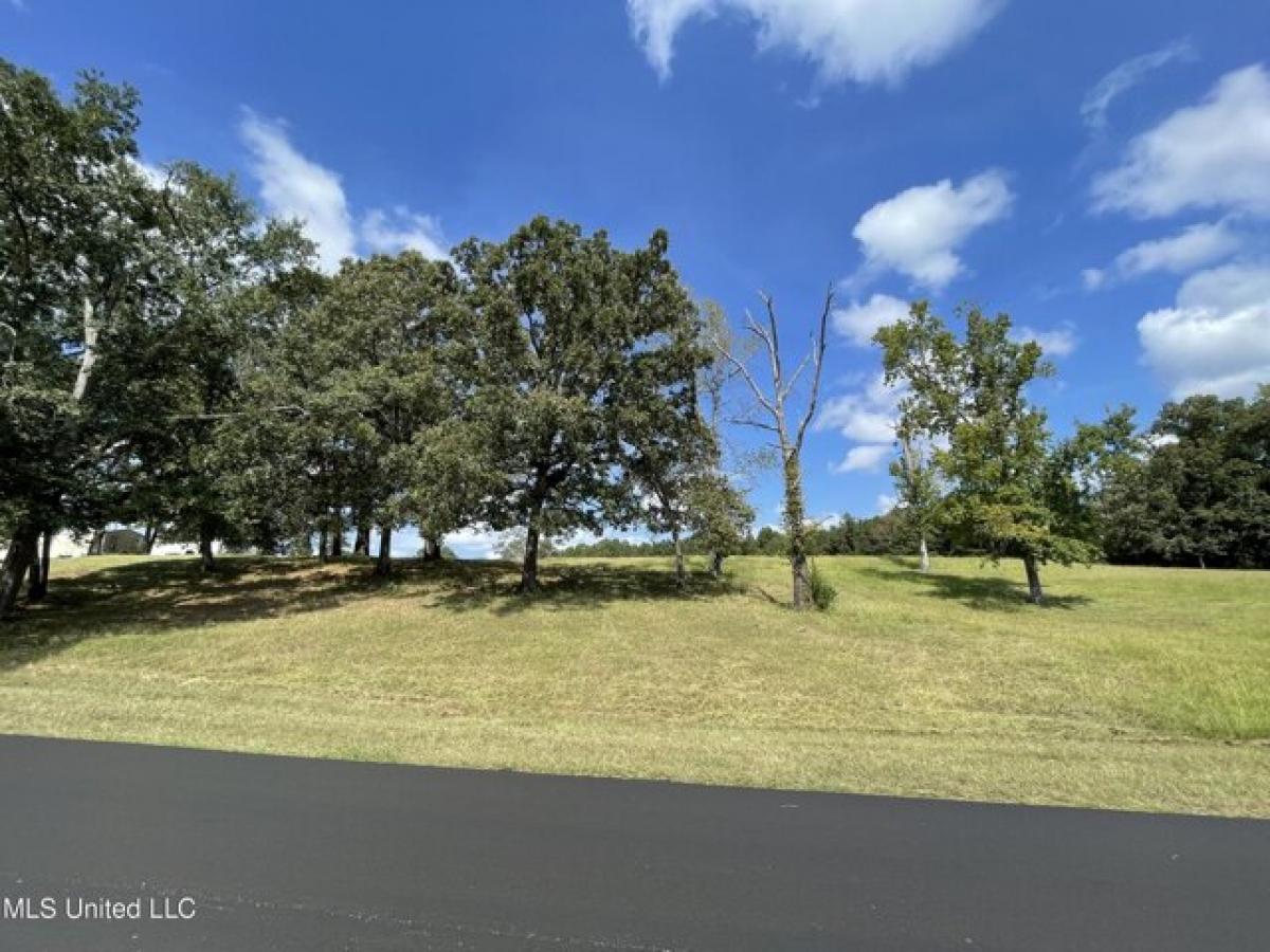 Picture of Residential Land For Sale in Carthage, Mississippi, United States