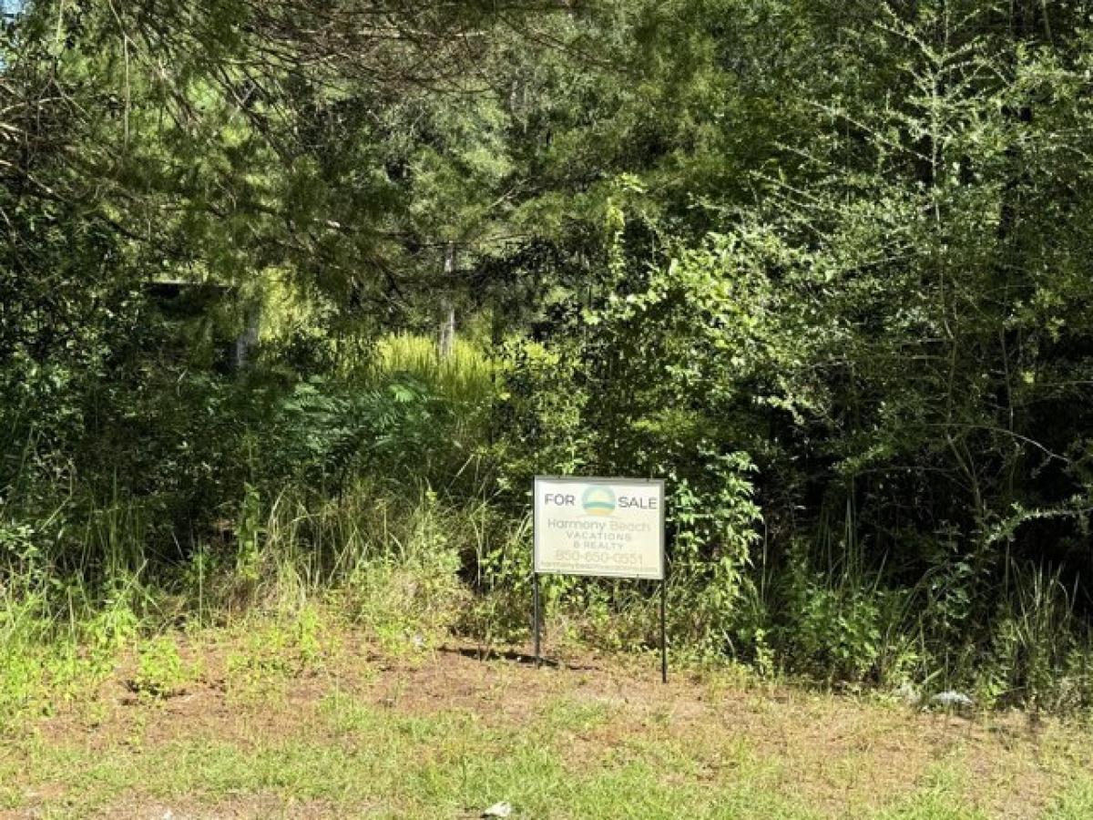 Picture of Residential Land For Sale in Freeport, Florida, United States