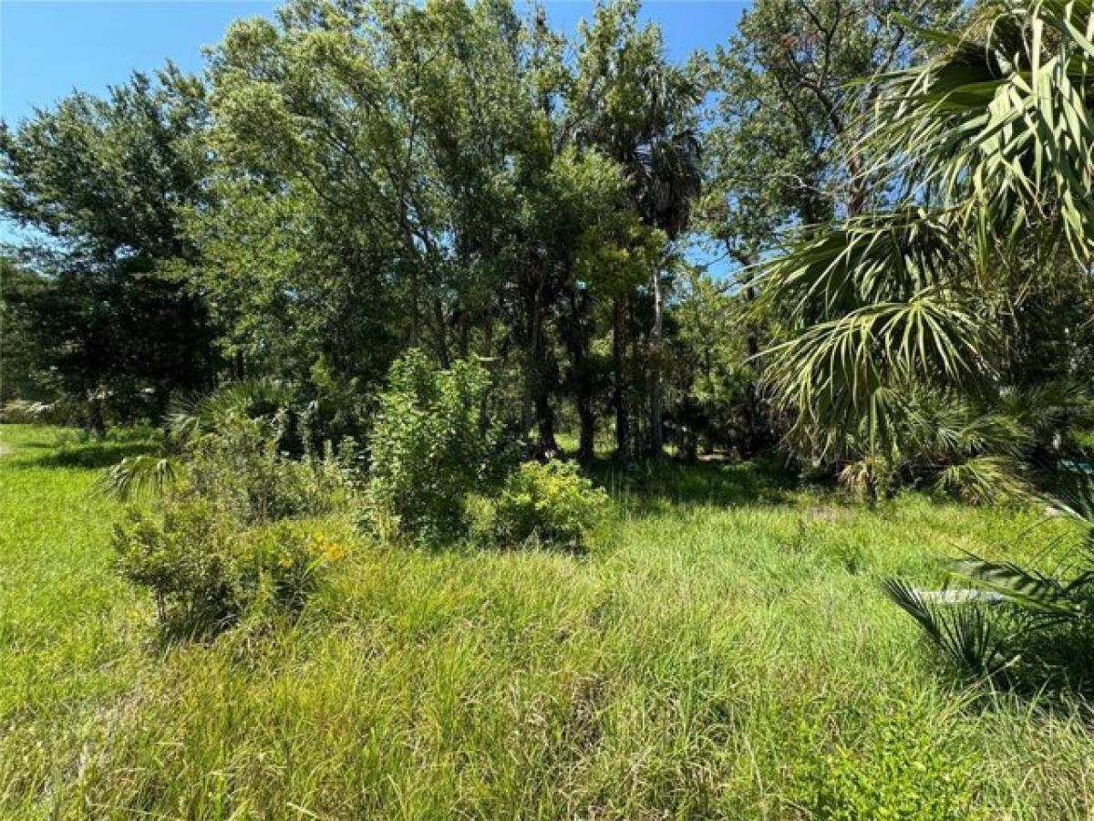 Picture of Residential Land For Sale in Hudson, Florida, United States