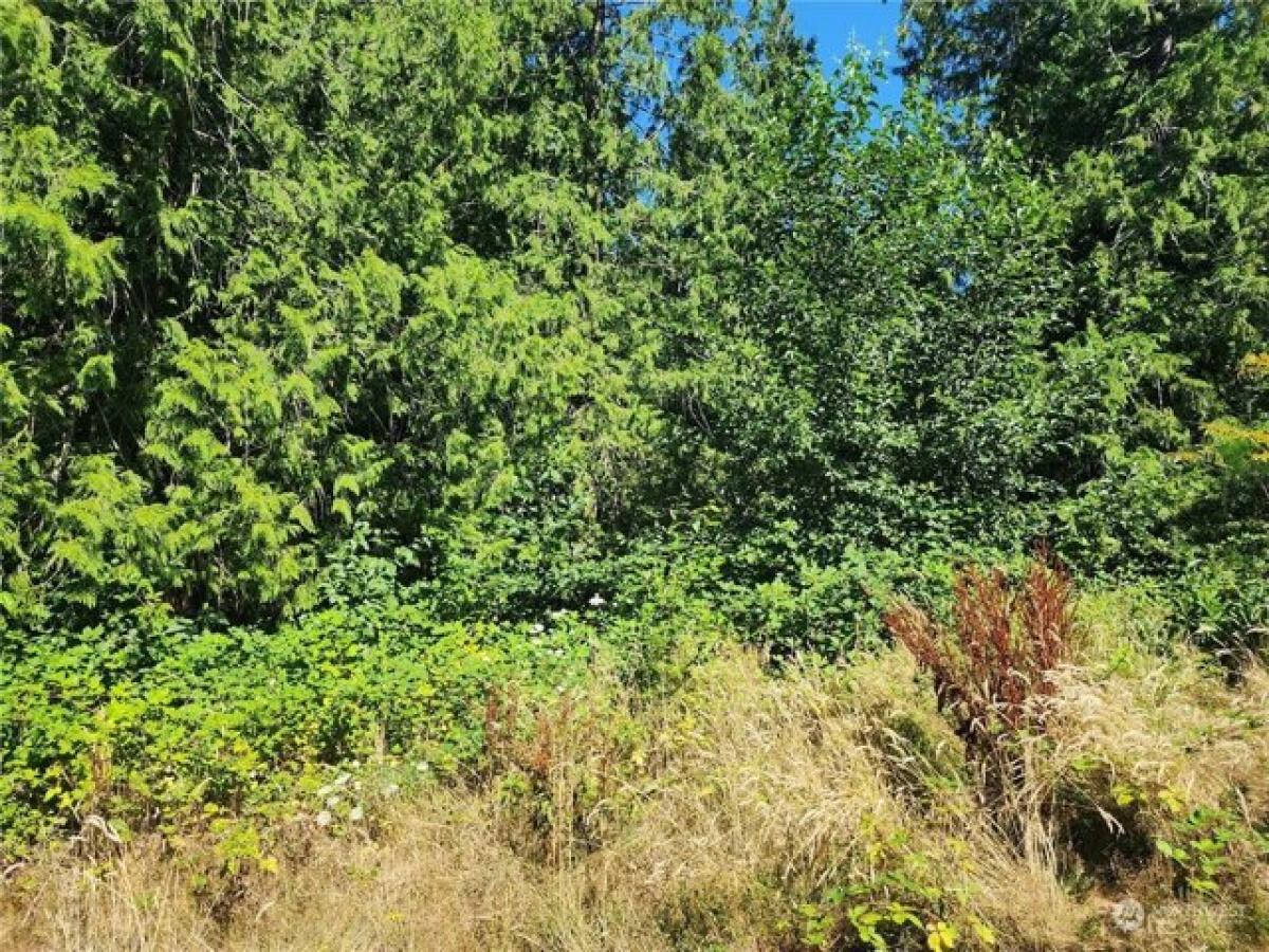 Picture of Residential Land For Sale in Redmond, Washington, United States