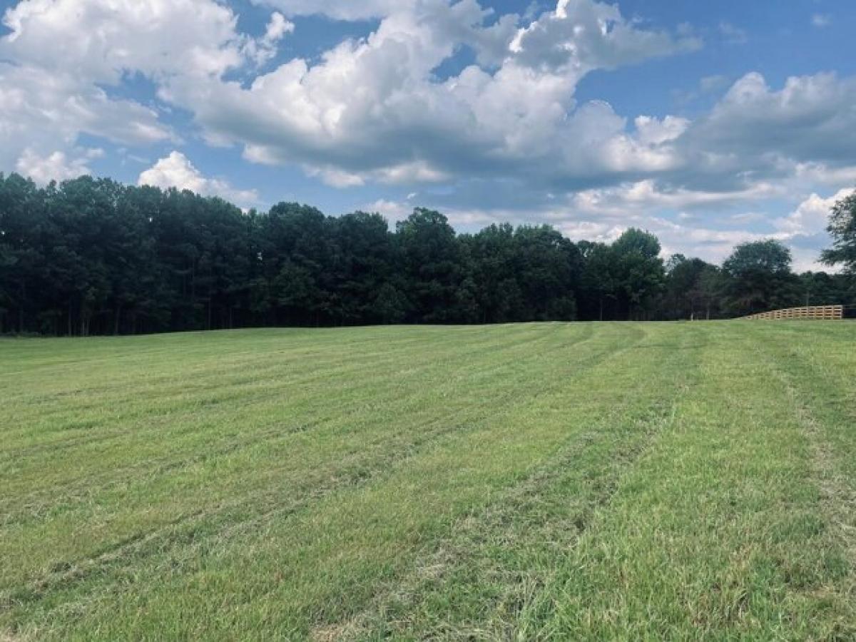 Picture of Residential Land For Sale in Lincolnton, Georgia, United States