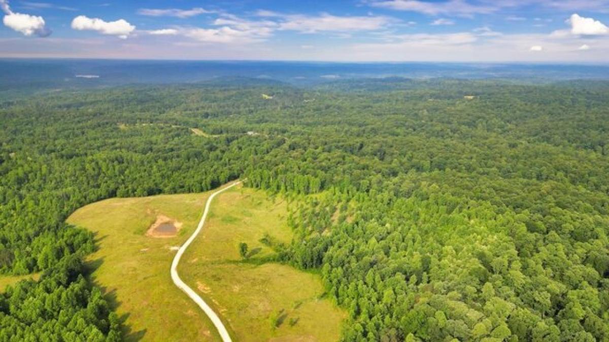 Picture of Residential Land For Sale in Indian Mound, Tennessee, United States