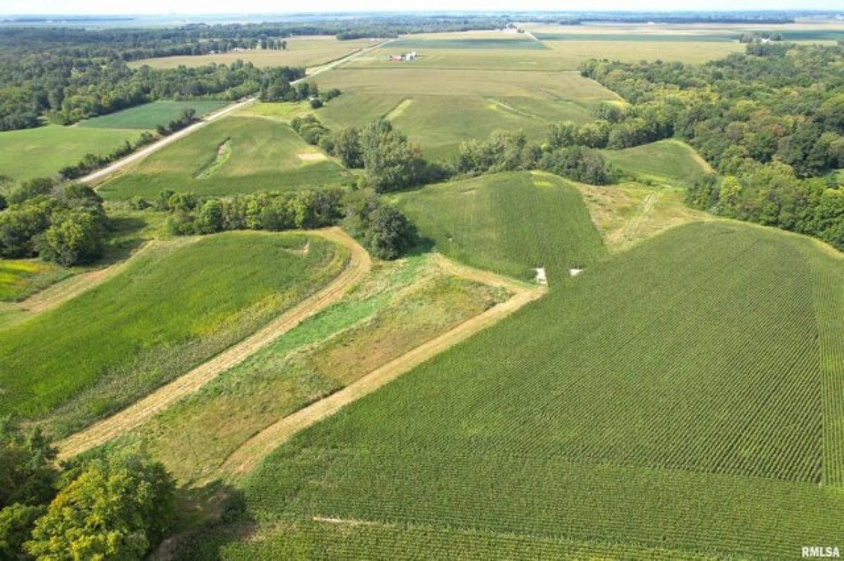 Picture of Residential Land For Sale in Palmer, Illinois, United States