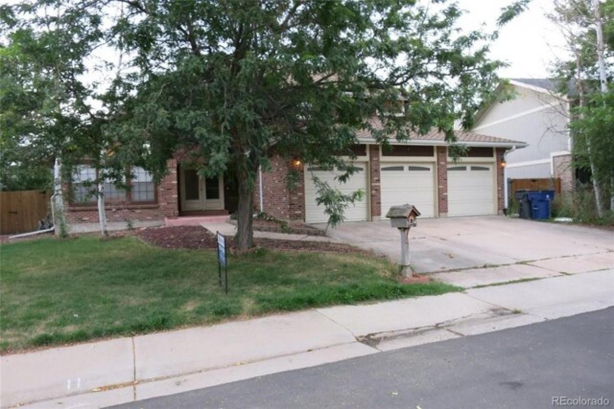 Picture of Home For Rent in Centennial, Colorado, United States