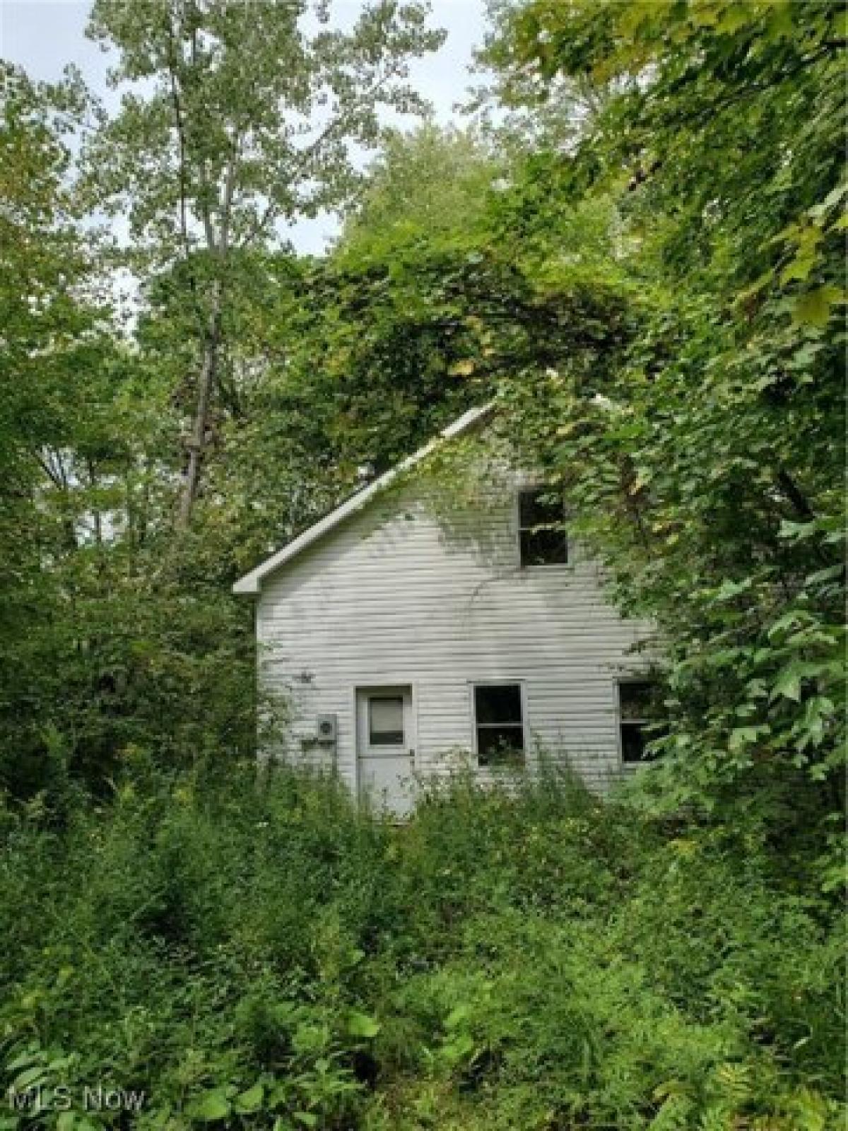 Picture of Residential Land For Sale in West Farmington, Ohio, United States