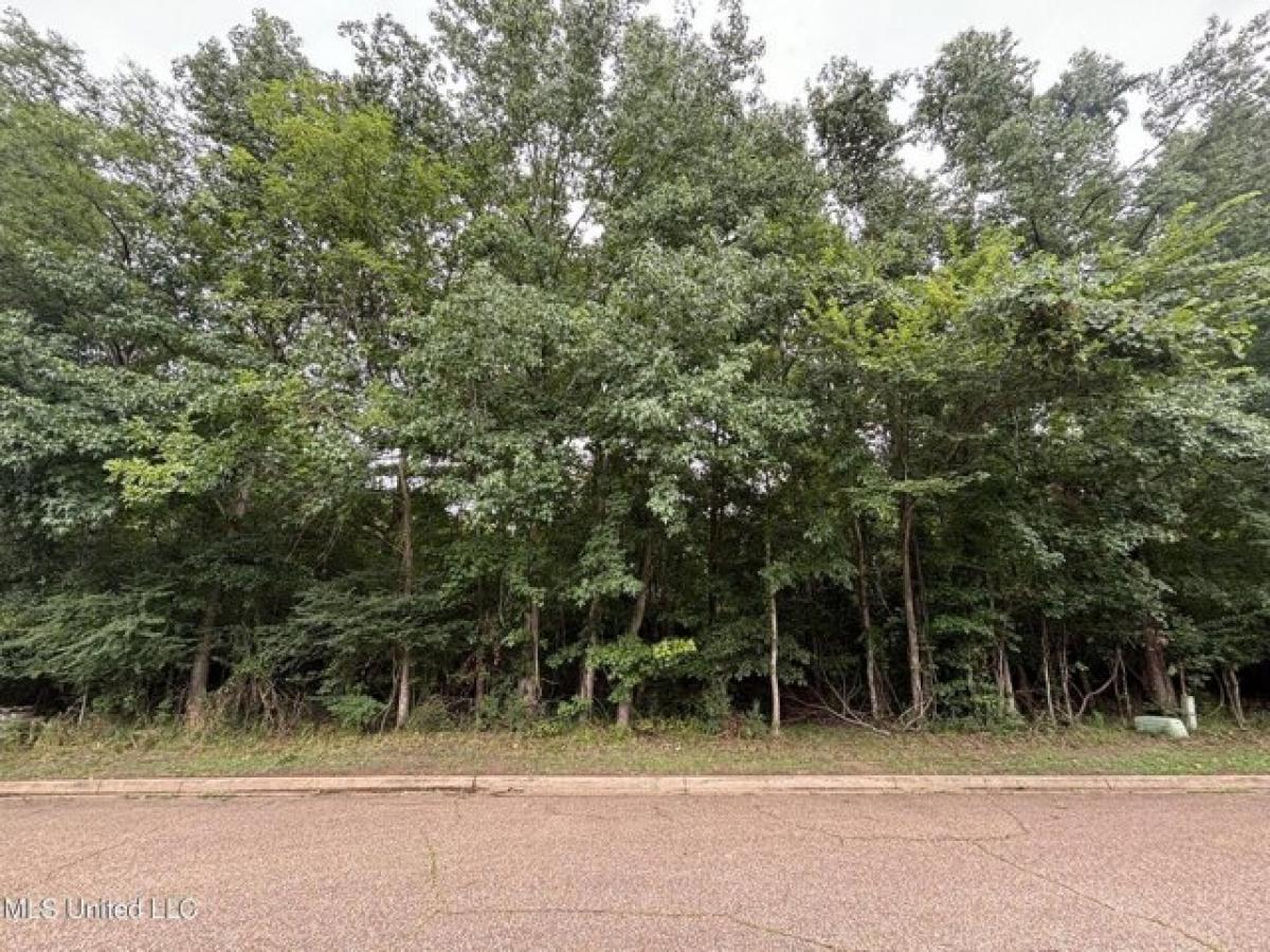 Picture of Residential Land For Sale in Madison, Mississippi, United States