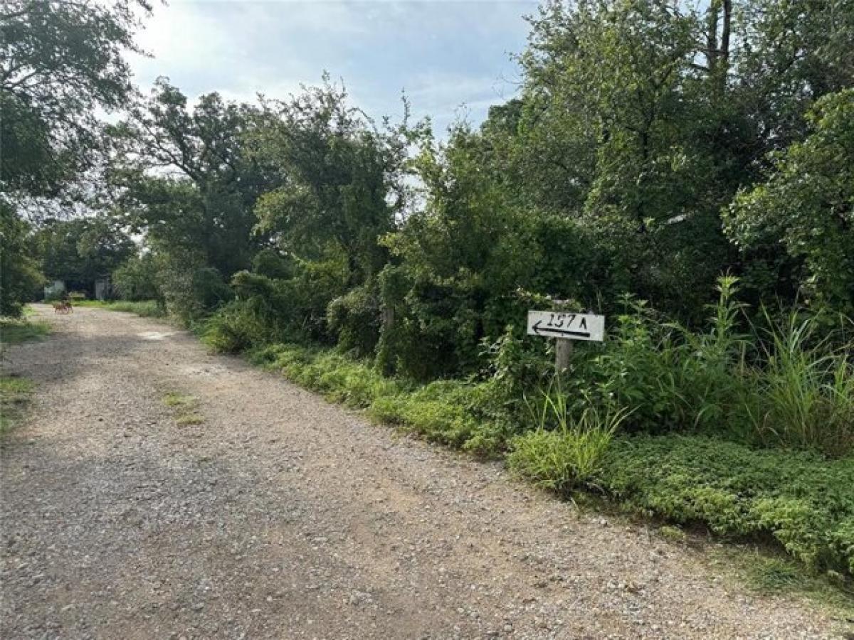 Picture of Home For Sale in Cedar Creek, Texas, United States