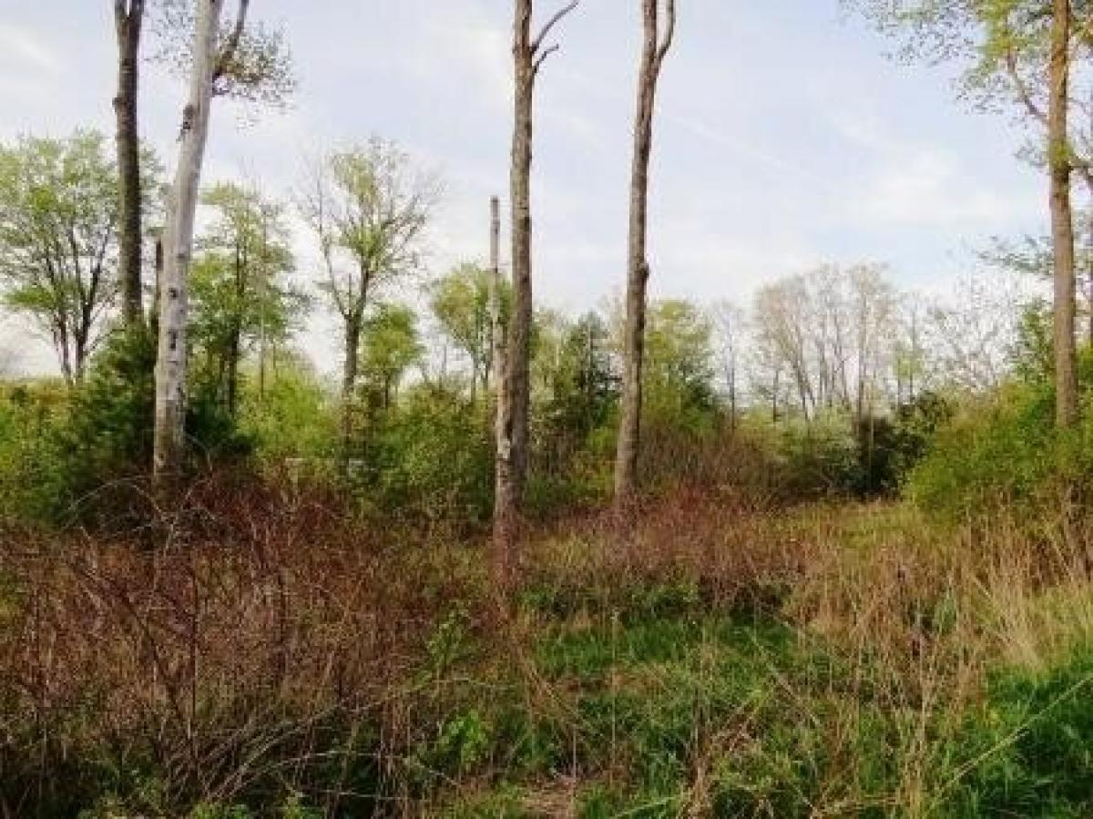 Picture of Residential Land For Sale in Saint Marys, Pennsylvania, United States