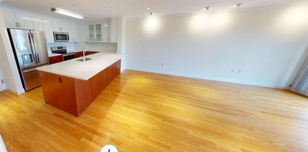 Picture of Apartment For Rent in Brookline, Massachusetts, United States