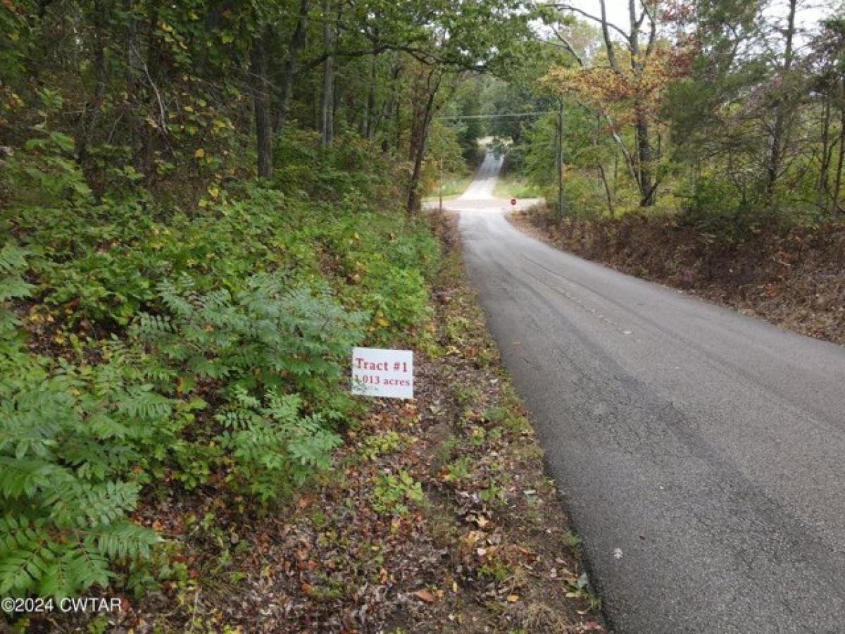 Picture of Residential Land For Sale in Decaturville, Tennessee, United States