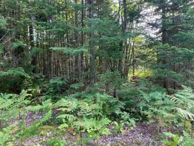 Residential Land For Sale in Paradise, Michigan