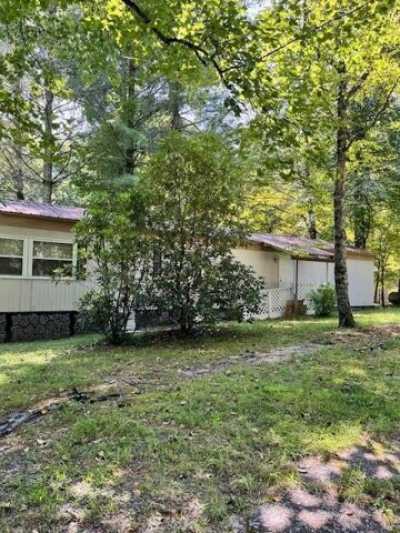 Home For Sale in Hiawassee, Georgia