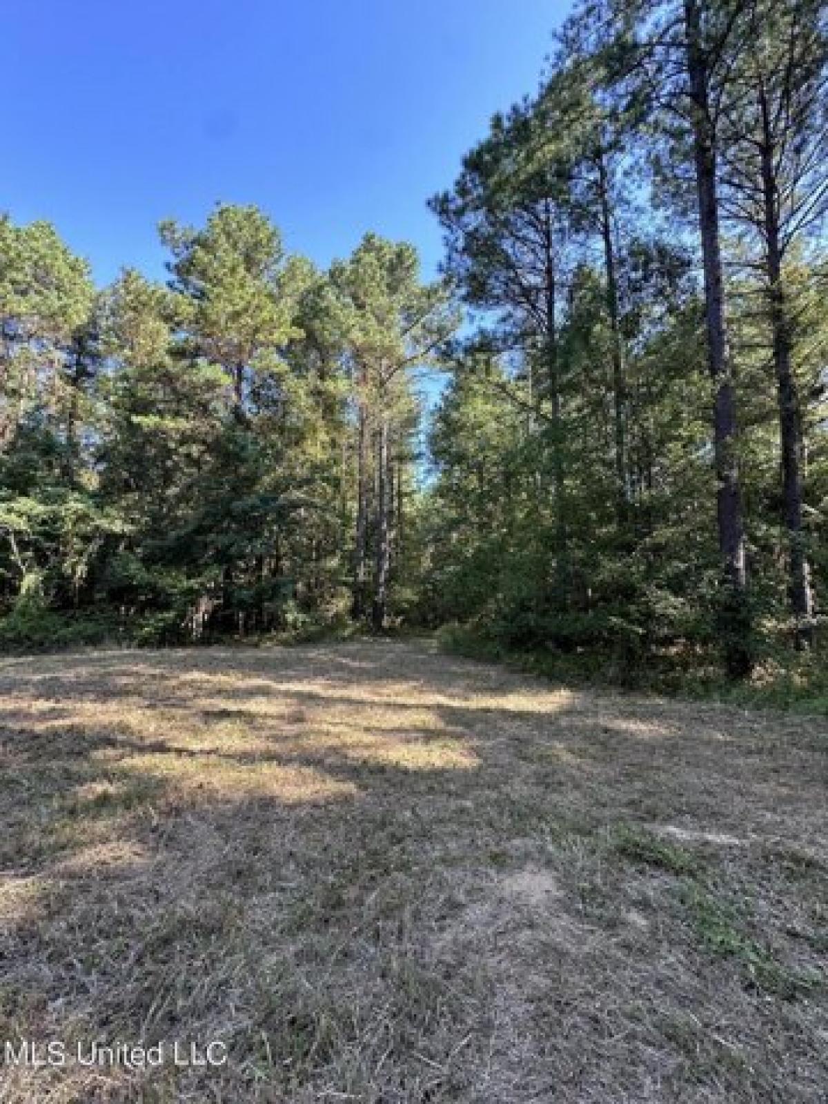 Picture of Residential Land For Sale in Camden, Mississippi, United States