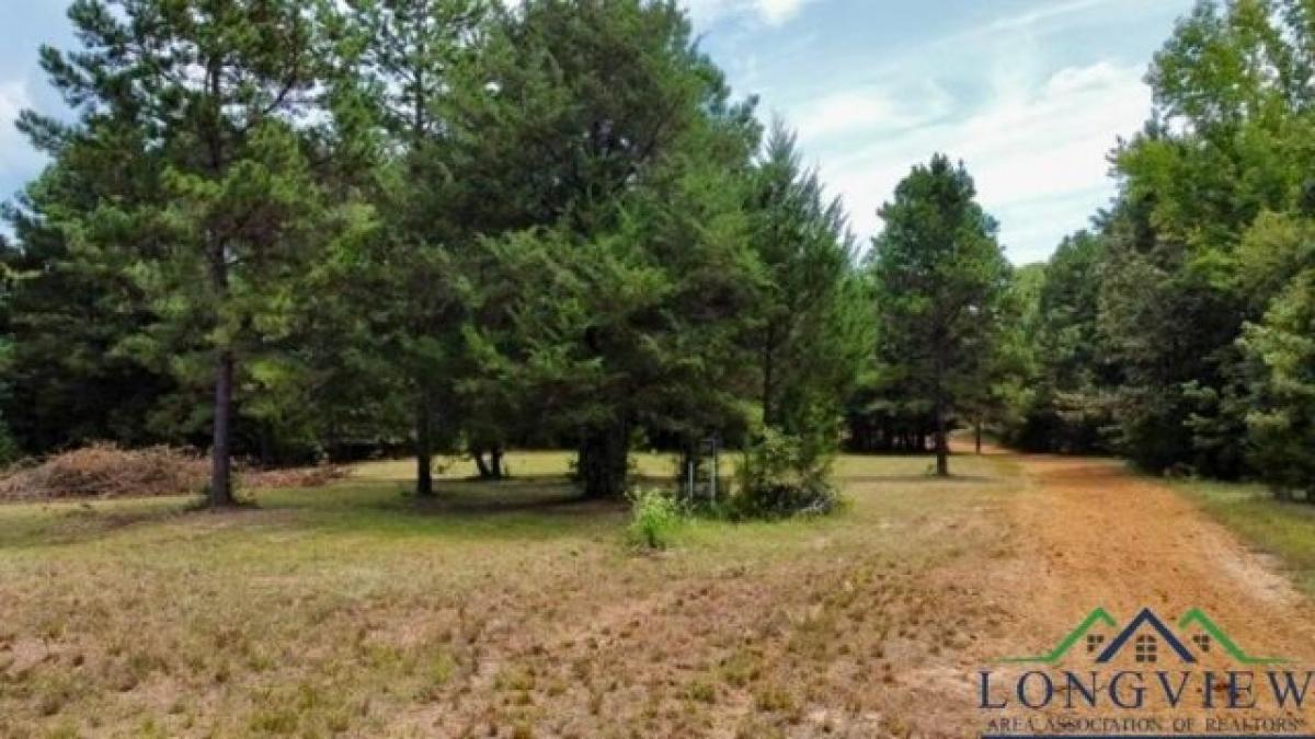 Picture of Residential Land For Sale in Linden, Texas, United States