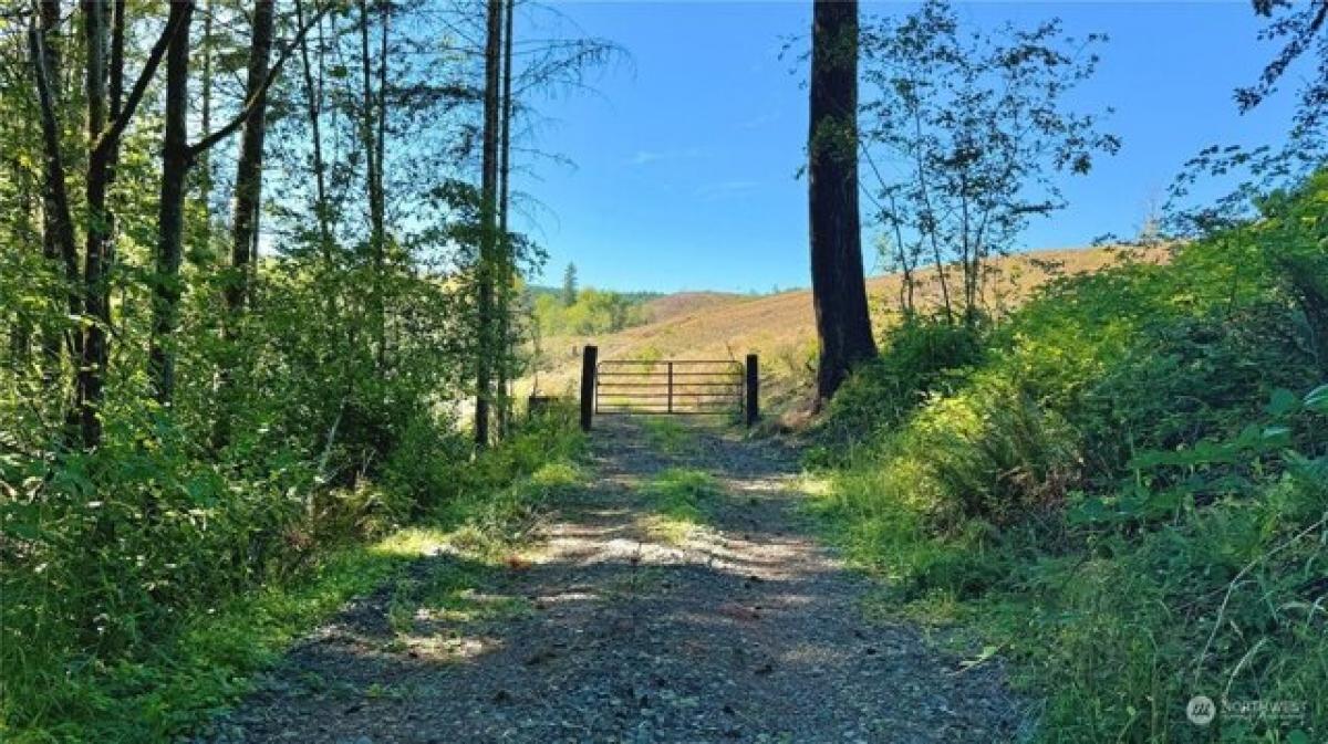 Picture of Residential Land For Sale in Centralia, Washington, United States