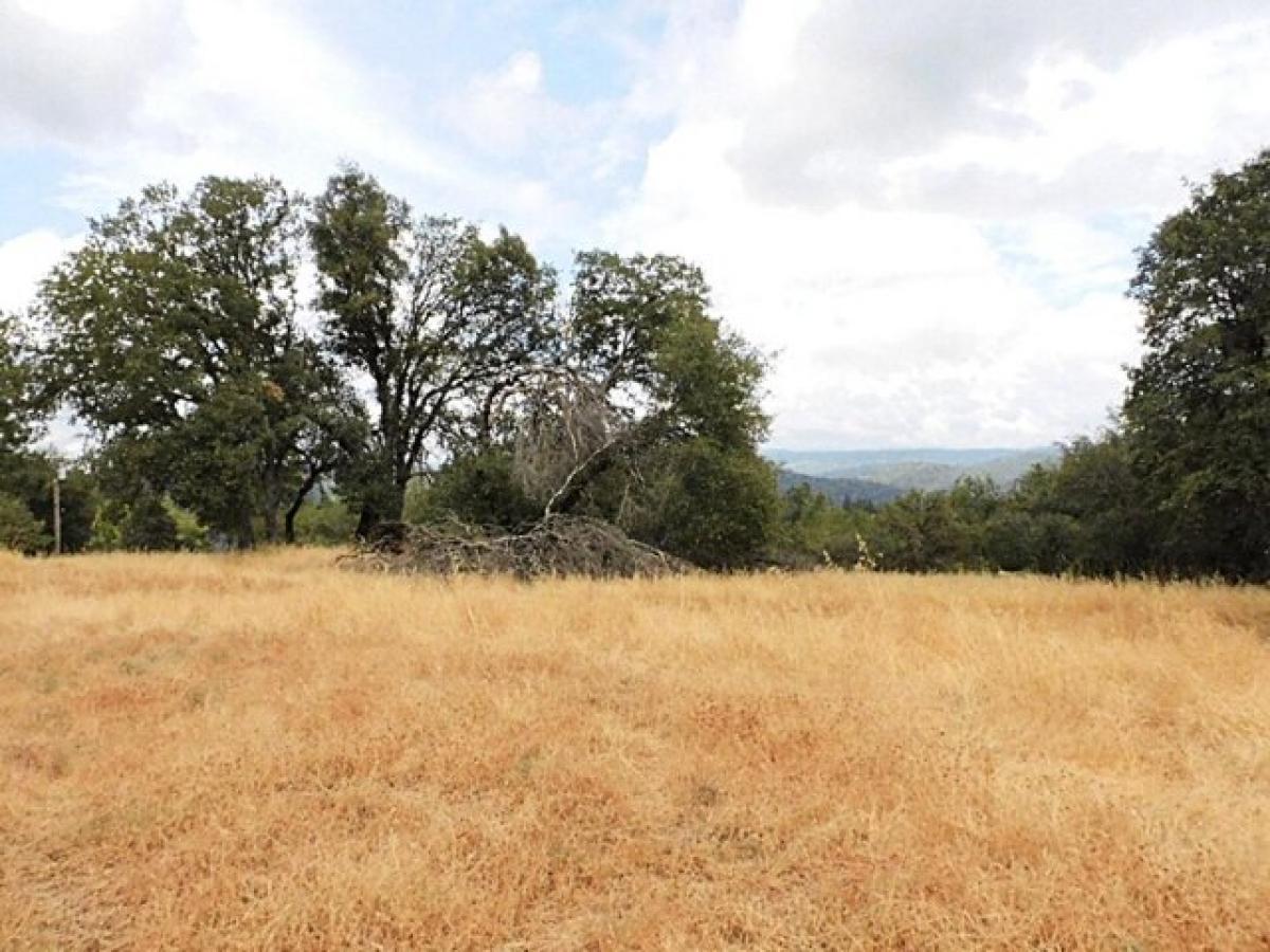 Picture of Residential Land For Sale in Placerville, California, United States