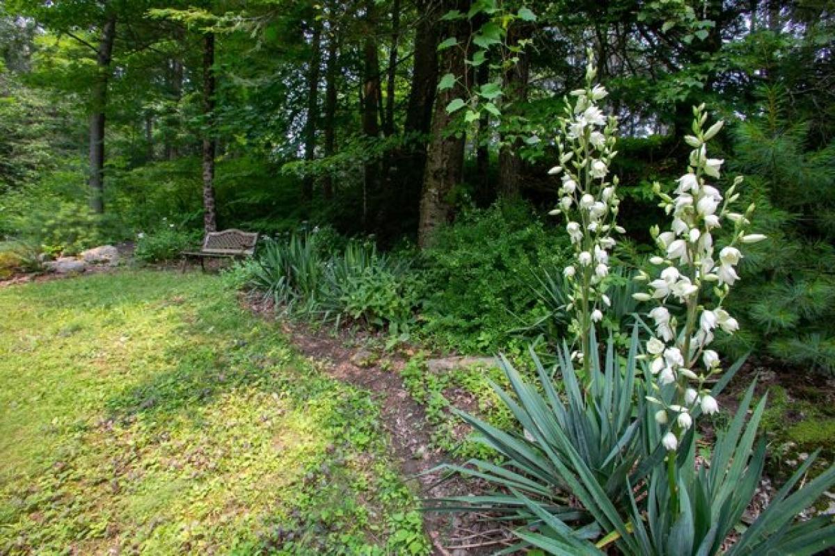 Picture of Home For Sale in Canaan, Connecticut, United States