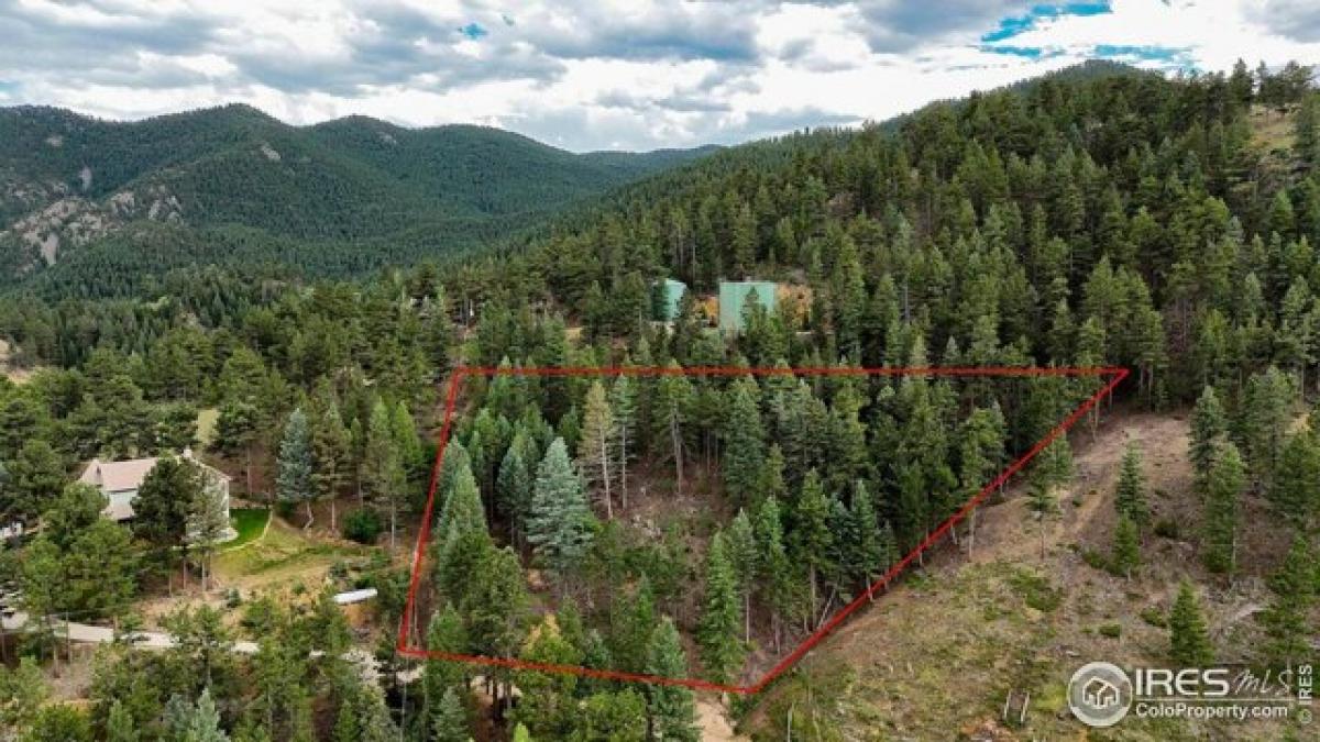 Picture of Residential Land For Sale in Jamestown, Colorado, United States