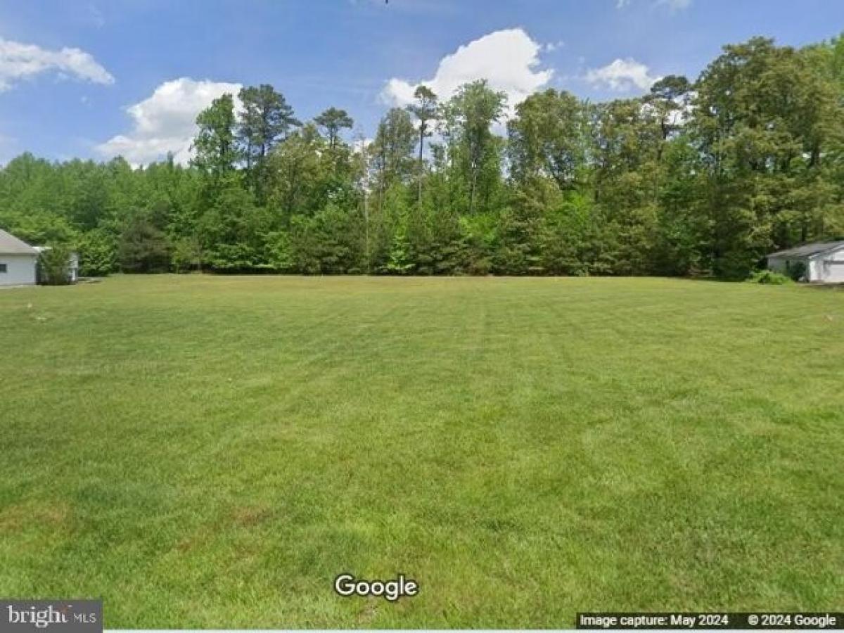 Picture of Residential Land For Sale in Georgetown, Delaware, United States