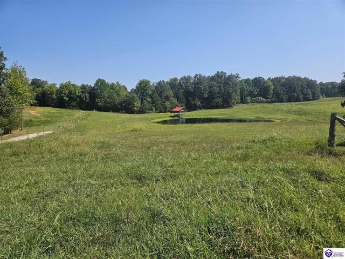 Picture of Residential Land For Sale in Sonora, Kentucky, United States