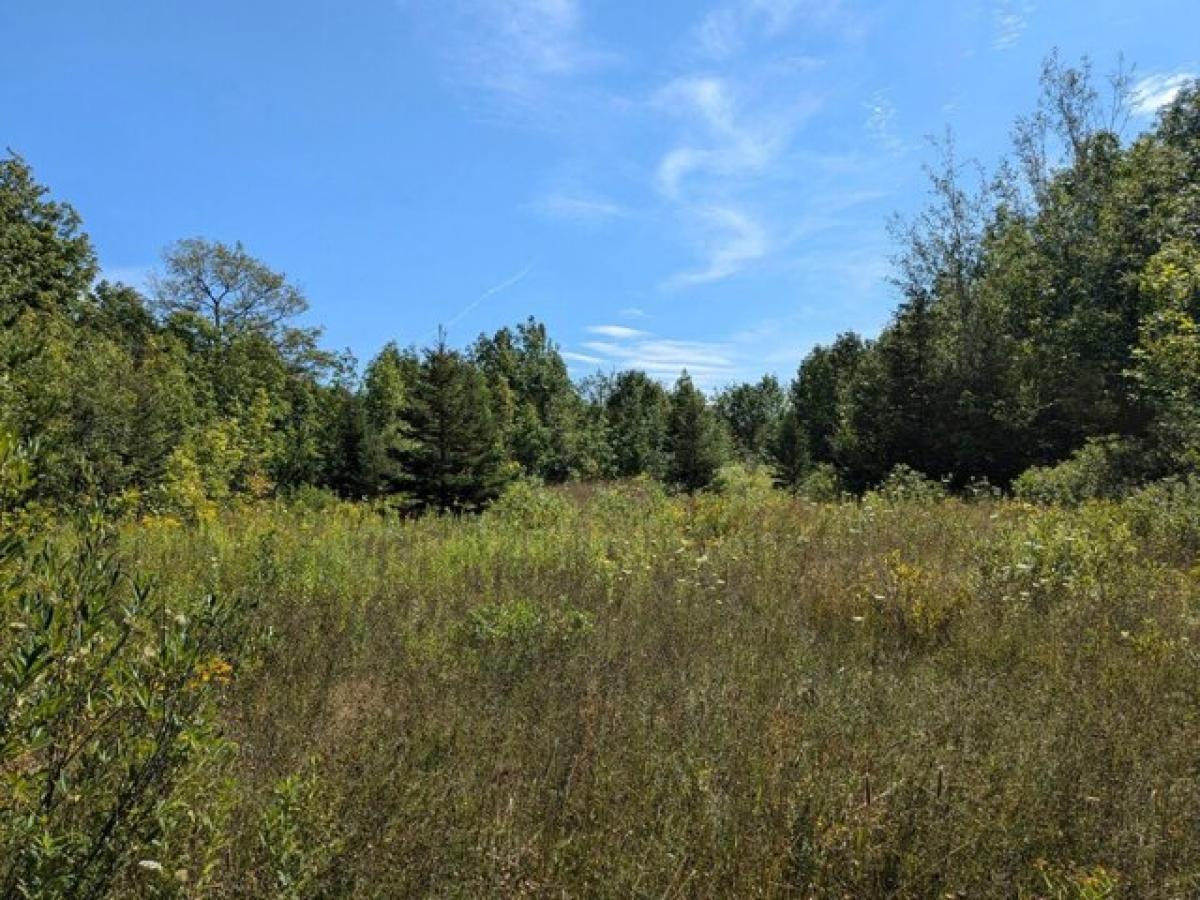 Picture of Residential Land For Sale in Hurley, Wisconsin, United States